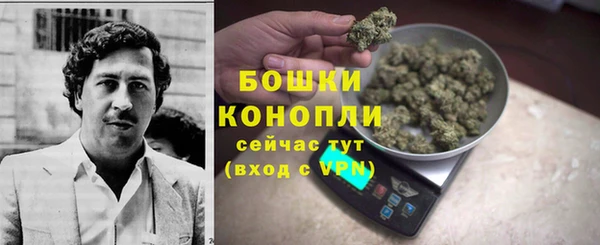 гидропоника Осинники